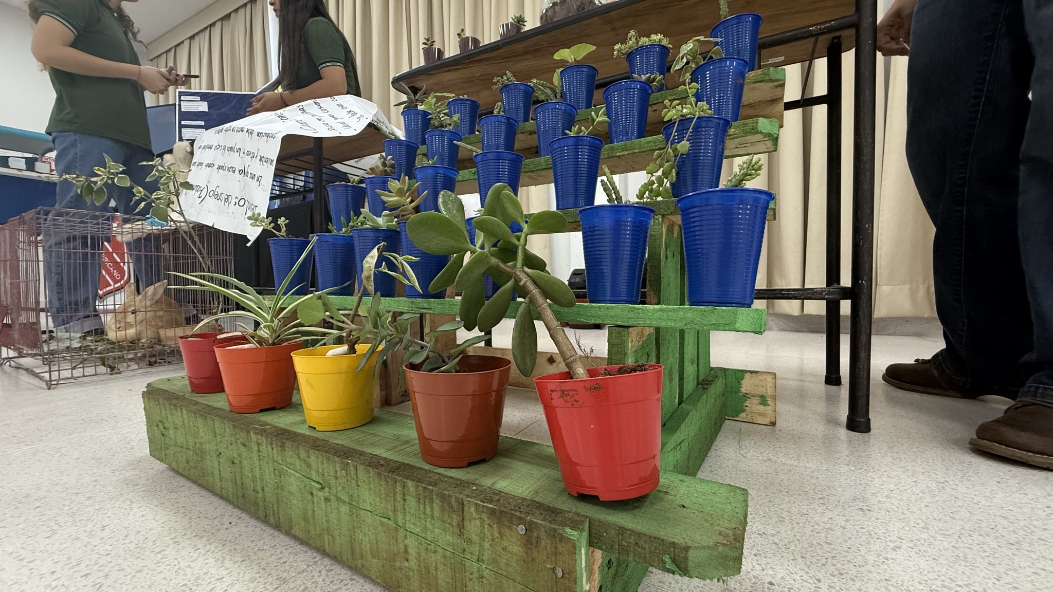 De la Idea al Negocio Éxito en la Defensa de Proyectos Geniales en la Filial San Lorenzo (4)