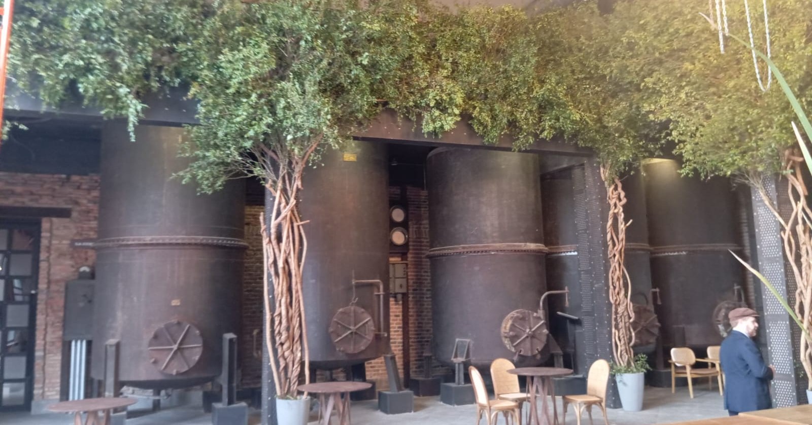 Del aula al terreno experiencia académica en el Complejo Puerto Liebig (4)